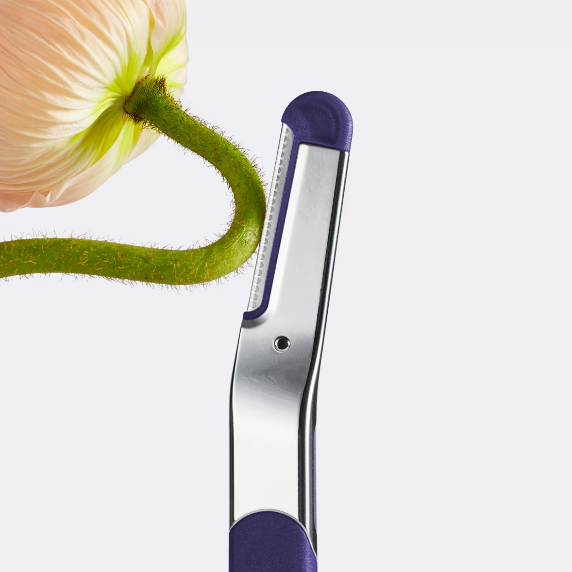 Dermaplane Blades - Image 4