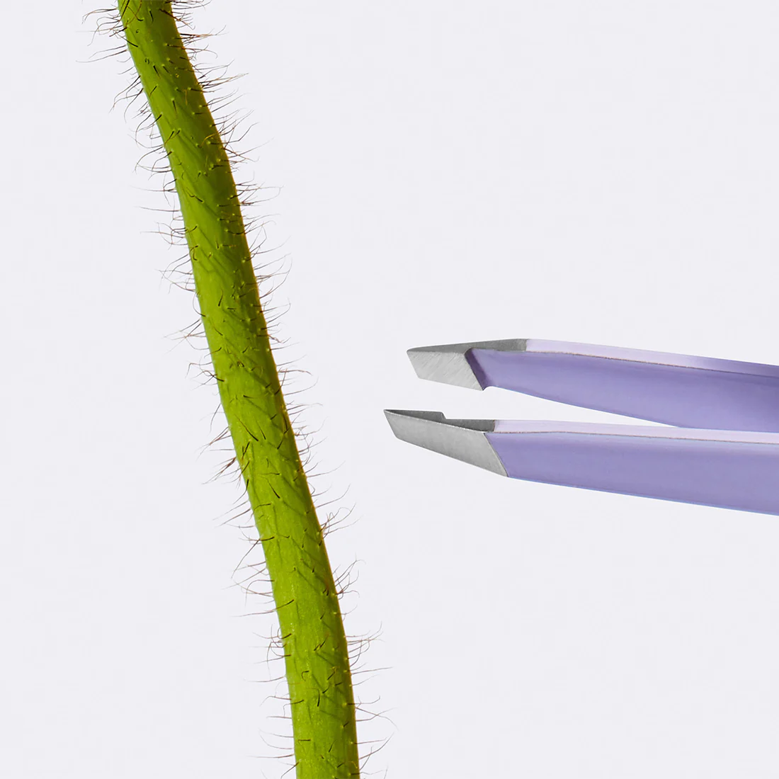 Tweezers - Image 5